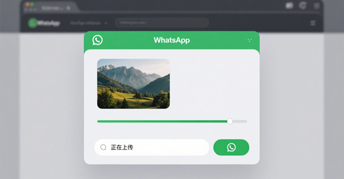 网页版WhatsApp：支持图文和视频传输